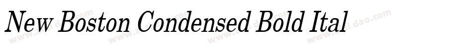 New Boston Condensed Bold Italic字体转换